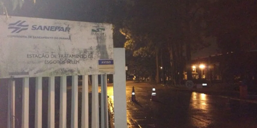 Imagem ilustrativa da imagem Funcionário da Sanepar encontra feto em estação de esgoto