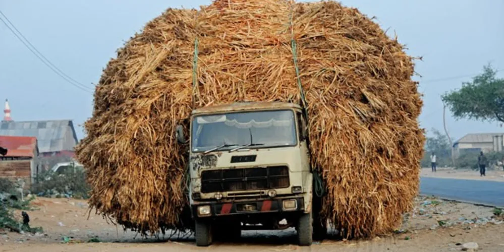 Imagem ilustrativa da imagem Caminhão transporta carga maior do que o próprio veículo na Somália