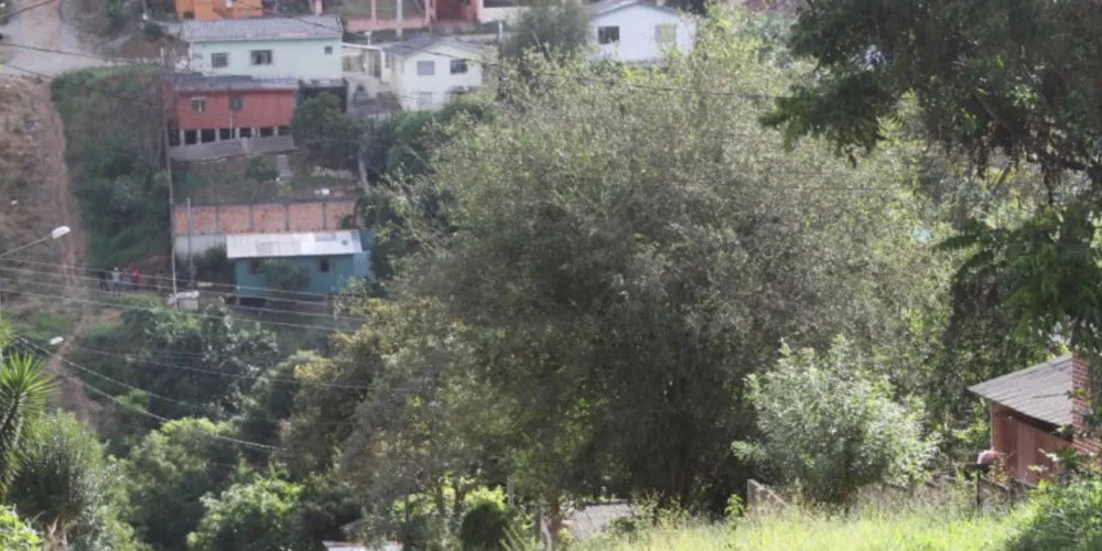 Imagem ilustrativa da imagem PG licita 100 casas para regularização de terreno