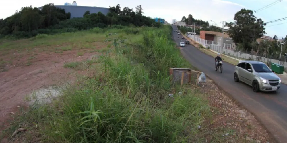 Imagem ilustrativa da imagem Meio Ambiente contesta obras do Parque Central