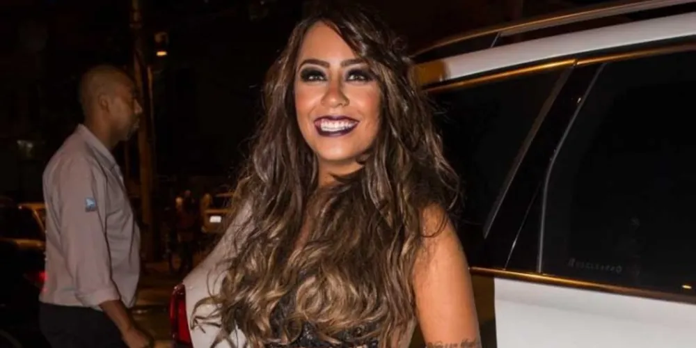 Imagem ilustrativa da imagem Alça de mira 