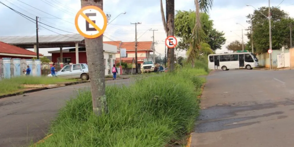 Imagem ilustrativa da imagem Placas de trânsito são fixadas em árvores em PG