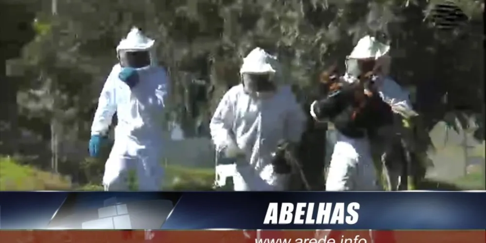 Imagem ilustrativa da imagem Resumo das principais notícias do dia 08/04