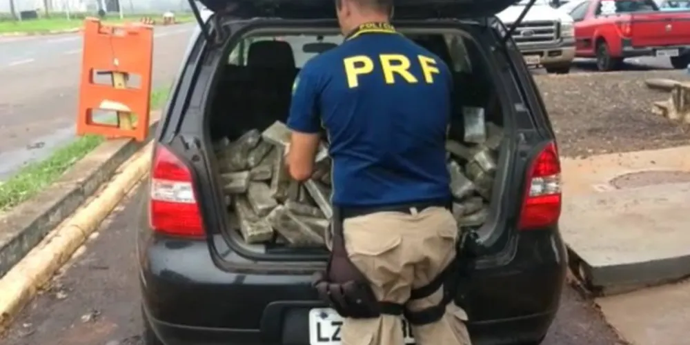 Imagem ilustrativa da imagem PRF apreende 254 kg de maconha em carro roubado