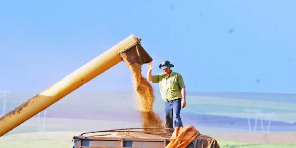 Imagem ilustrativa da imagem Região fecha a safra de soja com recorde de produção