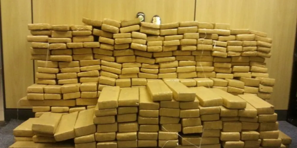 Imagem ilustrativa da imagem Polícia apreende meia tonelada de maconha em Curitiba