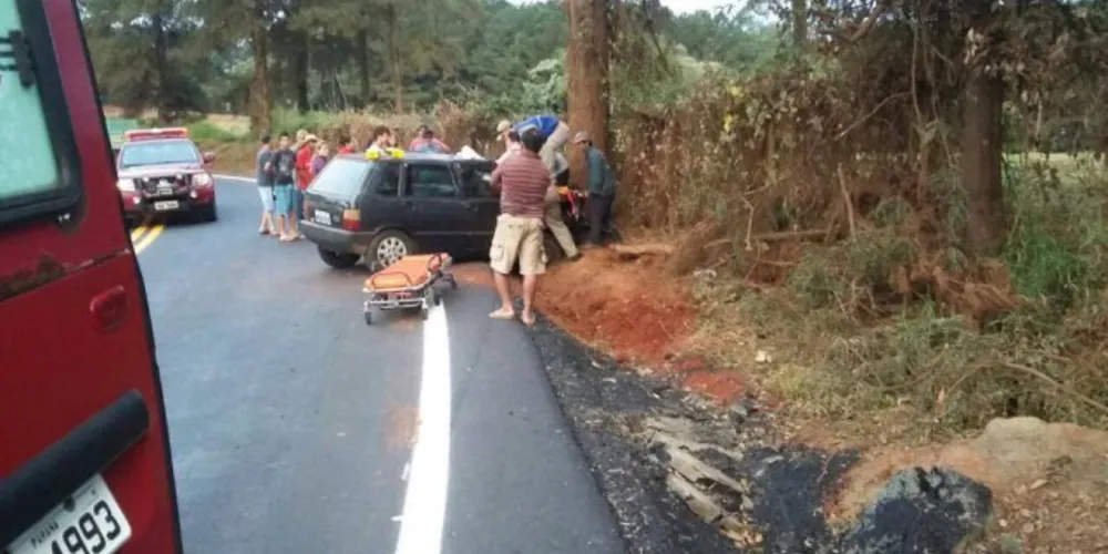 Imagem ilustrativa da imagem Motorista perde o controle em curva e bate contra árvore