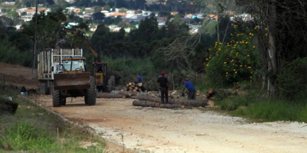 Imagem ilustrativa da imagem Parque Ecotecnológico de PG ganha conselho gestor