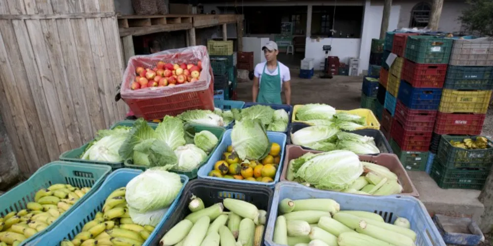 Imagem ilustrativa da imagem Agricultores e transporte escolar são prejudicados pela greve