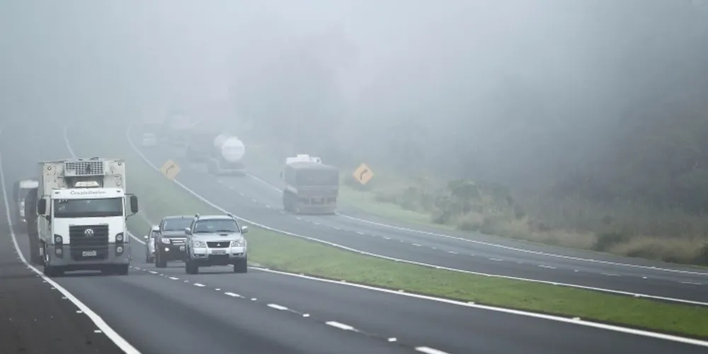 Imagem ilustrativa da imagem Trechos com neblina exigem cuidados redobrados na rodovia