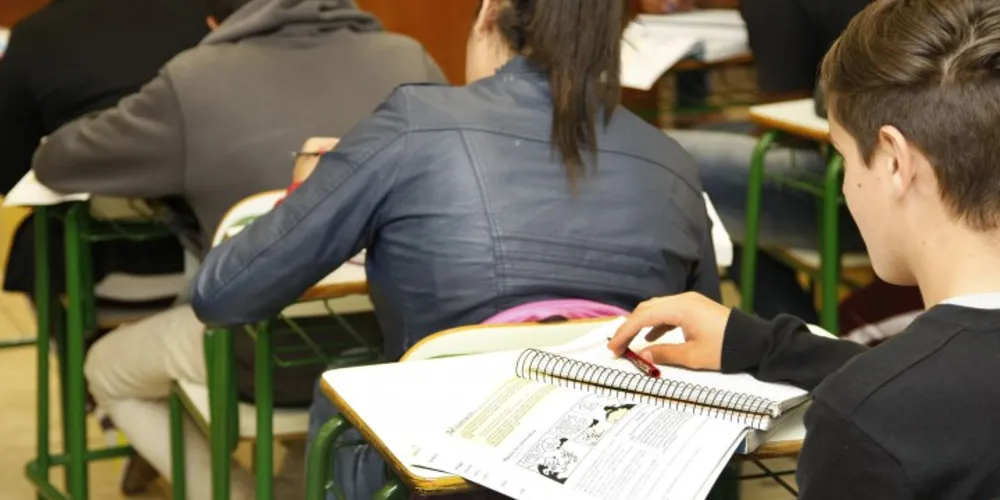 Imagem ilustrativa da imagem 80% das escolas já estão abertas, diz governo do PR