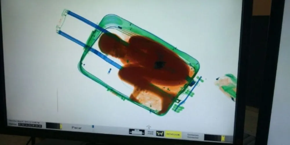 Imagem ilustrativa da imagem Mulher tenta entrar na Espanha com menino na mala