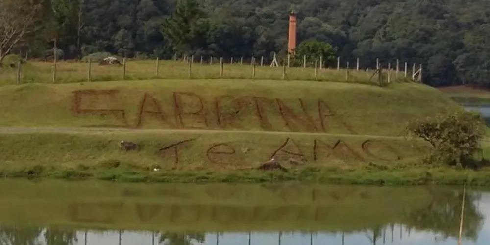 Imagem ilustrativa da imagem Apaixonado faz declaração gigante e destrói grama de Parque 