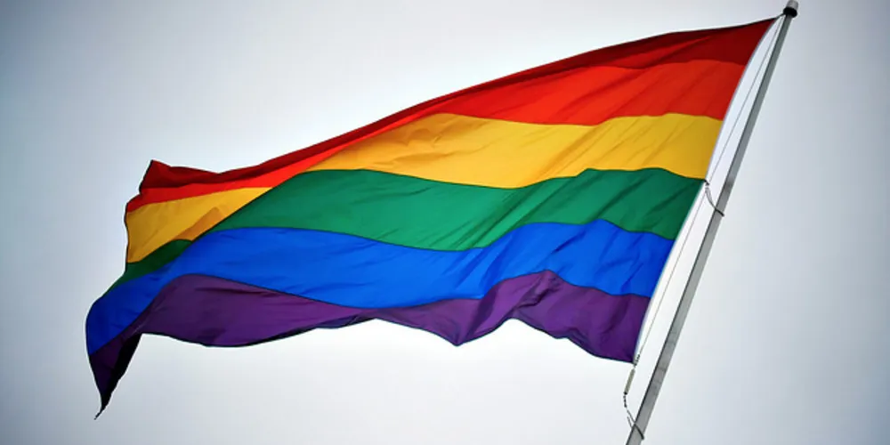 Imagem ilustrativa da imagem UE promete continuar apoiando homossexuais por igualdade