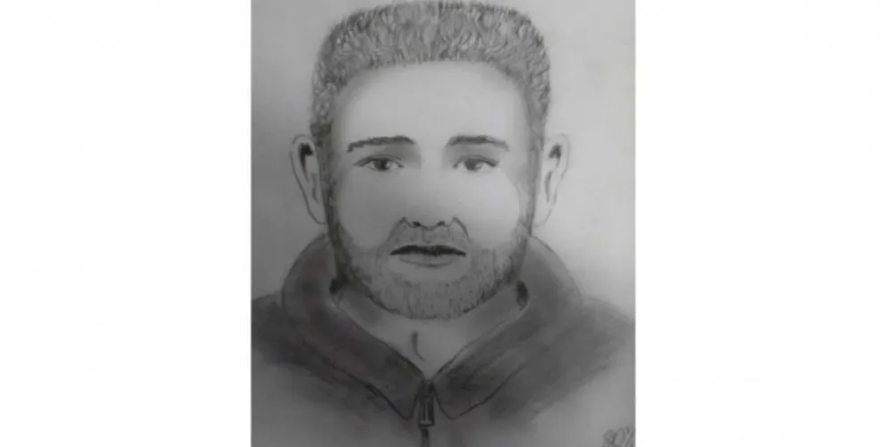 Imagem ilustrativa da imagem Polícia procura suspeito de execução em PG