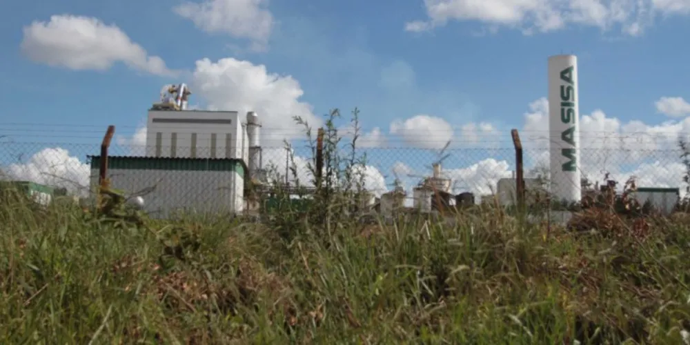 Imagem ilustrativa da imagem 'Protecta' construirá fábrica de processamento de trigo em PG