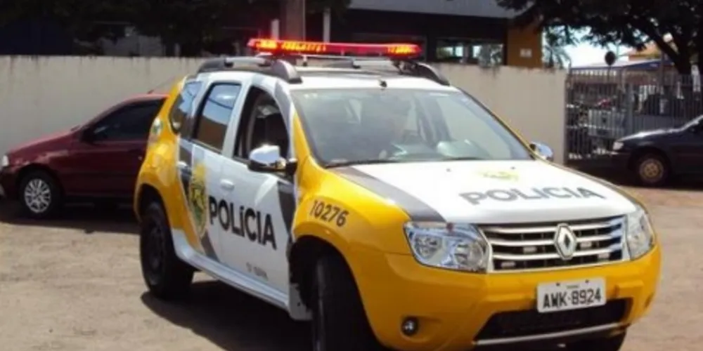 Imagem ilustrativa da imagem Dupla armada com facão assalta mercearia em PG