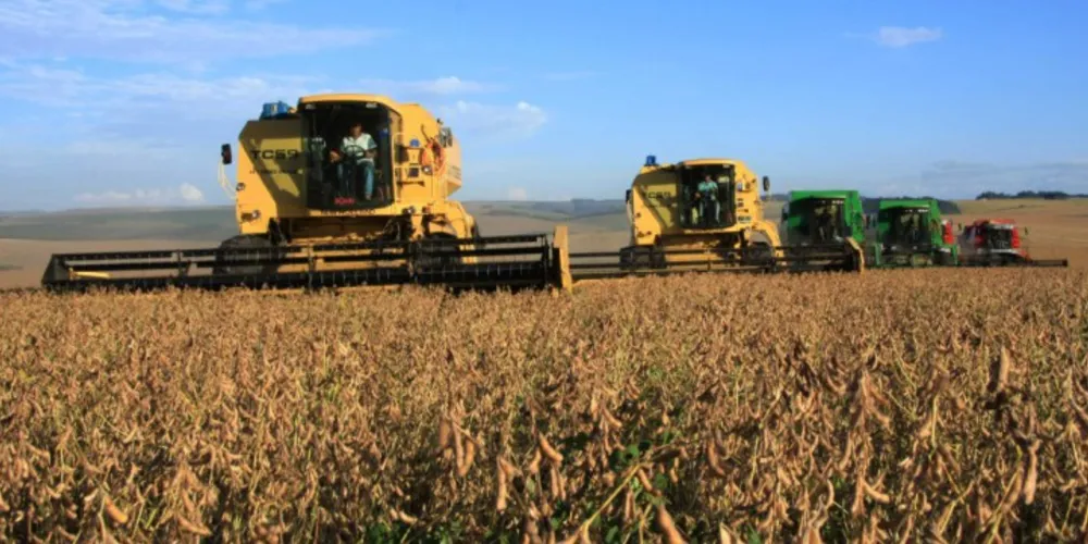 Imagem ilustrativa da imagem Agropecuária dos Campos Gerais impulsiona PIB do Paraná