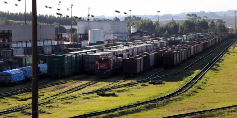 Imagem ilustrativa da imagem Setor produtivo quer incluir ferrovia em plano logístico