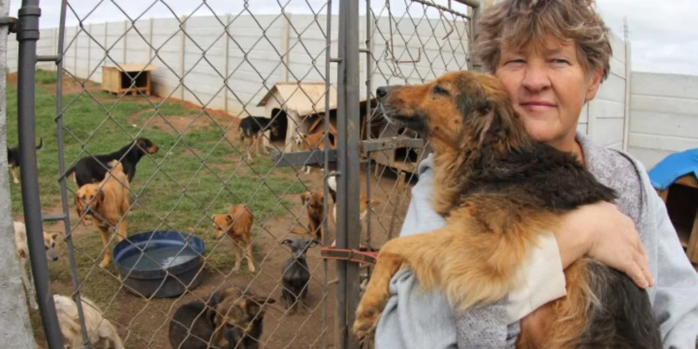 Imagem ilustrativa da imagem ONG declara falência e mais de 350 animais correm risco