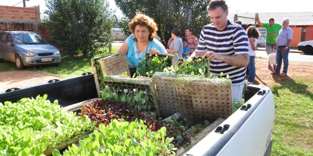 Imagem ilustrativa da imagem Agricultura realiza entregas de mudas do ‘Horta em Casa’