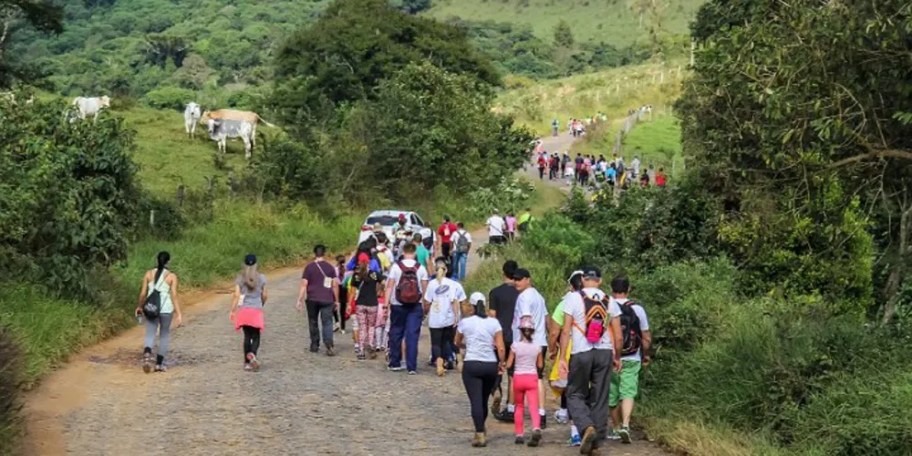 Imagem ilustrativa da imagem Mais de 300 pessoas participam da Caminhada na Natureza