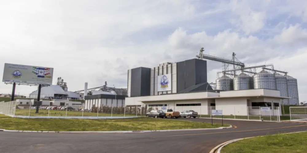 Imagem ilustrativa da imagem Moinho bate recorde na industrialização de trigo