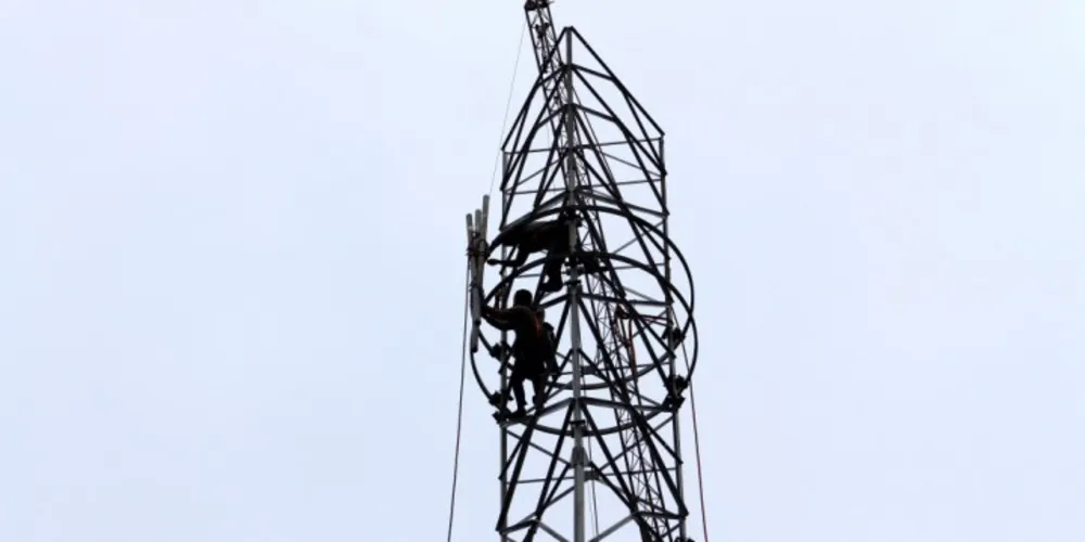 Imagem ilustrativa da imagem TIM lança tecnologia 4G e ativa torre na área rural de PG
