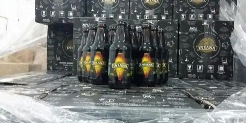 Imagem ilustrativa da imagem Cerveja de pinhão gera lucro para pequenos agricultores