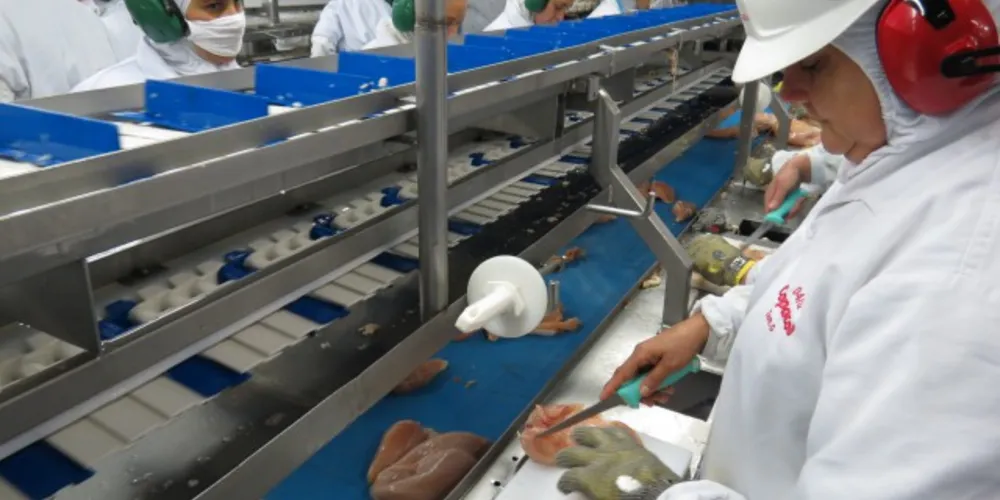 Imagem ilustrativa da imagem Mercado e câmbio impulsionam exportações