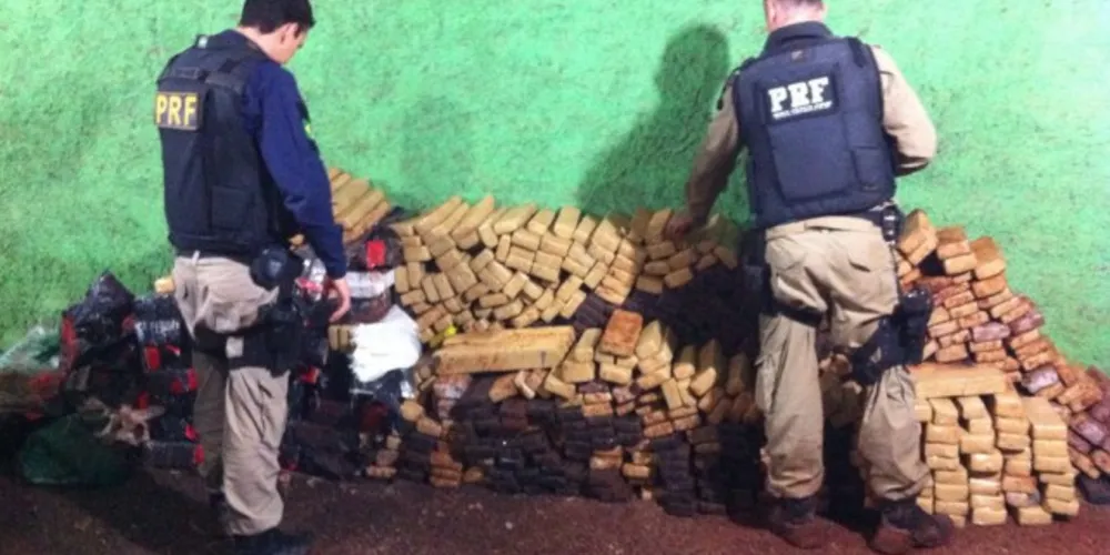 Imagem ilustrativa da imagem Polícia encontra 865 kg de maconha escondidos em mato