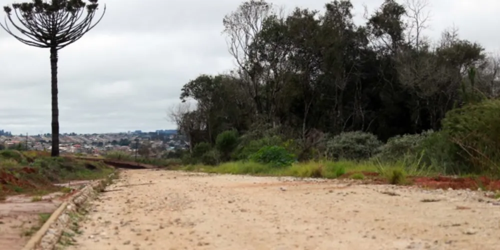 Imagem ilustrativa da imagem Parque Ecotecnológico de PG será asfaltado