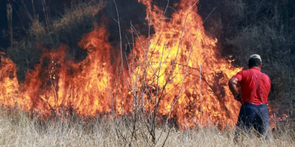 Imagem ilustrativa da imagem Tempo seco aumenta número de incêndios na região