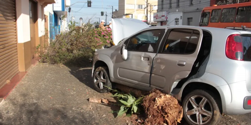 Imagem ilustrativa da imagem Carro arranca árvore após acidente no centro de PG