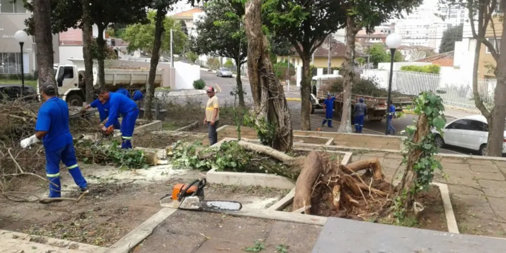 Imagem ilustrativa da imagem Prefeitura realiza limpeza de ruas e corte de árvores