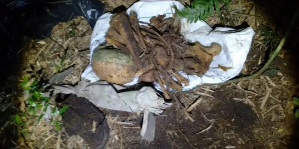 Imagem ilustrativa da imagem Homem encontra ossada humana em São João do Triunfo