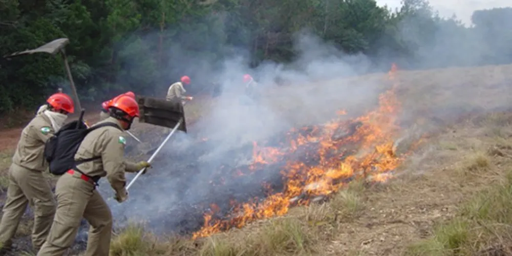Imagem ilustrativa da imagem Incêndios ambientais preocupam autoridades em Piraí do Sul