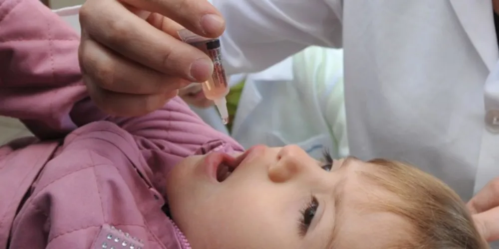 Imagem ilustrativa da imagem Saúde de PG recebe 22 mil doses de vacina 