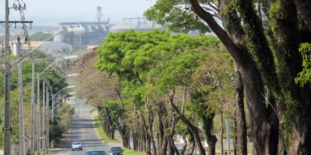 Imagem ilustrativa da imagem Primavera será marcada por chuvas em Ponta Grossa