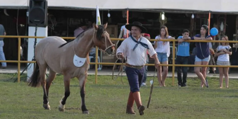Imagem ilustrativa da imagem Julgamento de cavalos distribuirá R$ 30 mil em prêmios
