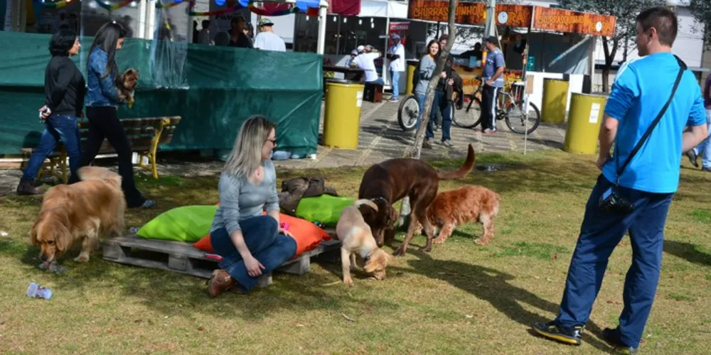 Imagem ilustrativa da imagem Encontro de cães, gatos e donos incentiva a adoção responsável