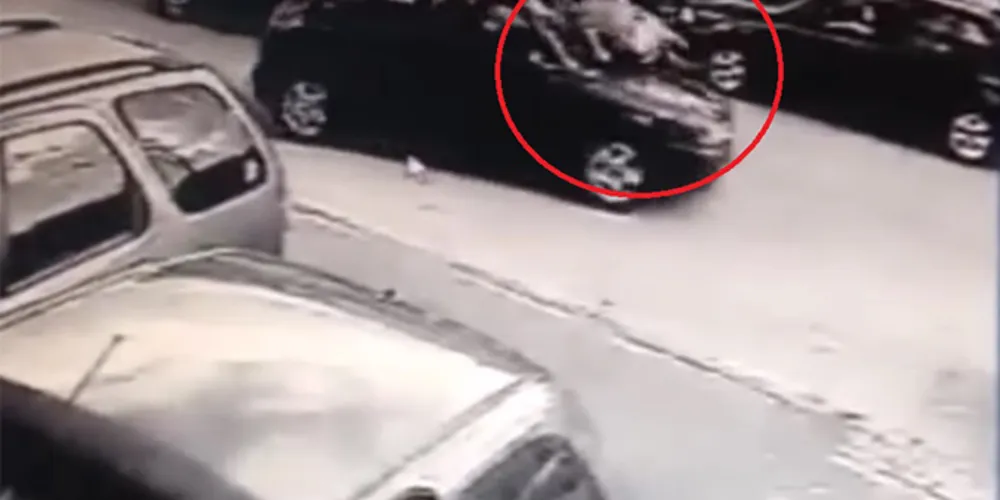 Imagem ilustrativa da imagem Bandido furta carro e dono se joga para evitar crime; assista