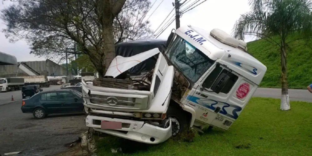 Imagem ilustrativa da imagem Caminhão fica destruído após bater contra árvore
