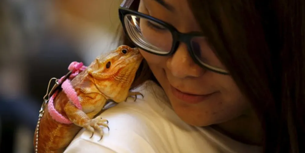 Imagem ilustrativa da imagem Chinesa é flagrada passeando com lagarto de estimação em shopping