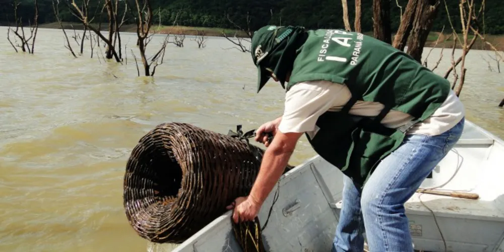 Imagem ilustrativa da imagem Piracema começa no domingo e restringe pesca no Paraná