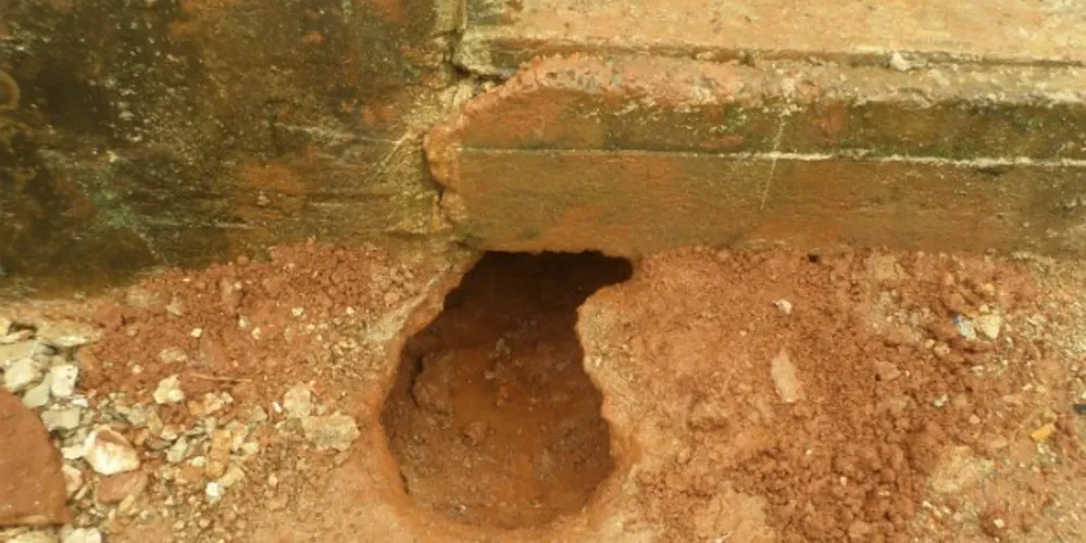 Imagem ilustrativa da imagem Presos abrem túnel e fogem de delegacia em Palmital
