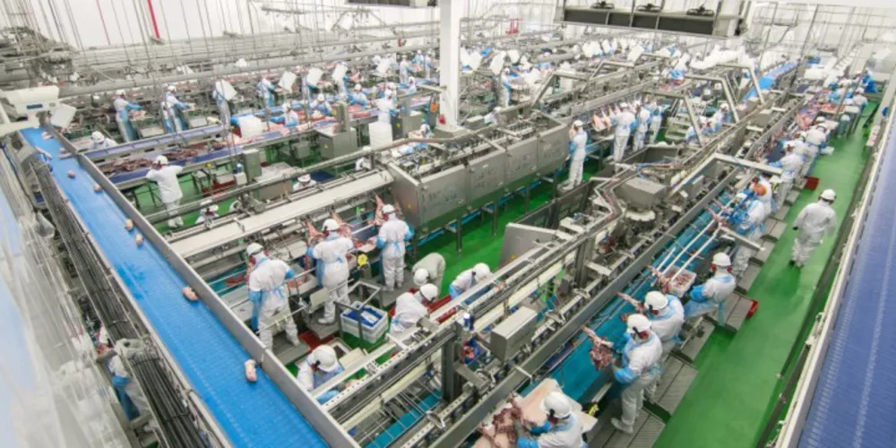 Imagem ilustrativa da imagem Investimentos mantem taxa de emprego alta na região