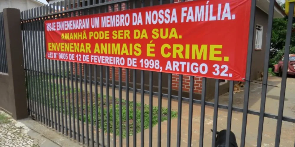 Imagem ilustrativa da imagem Polícia apura envenenamento de animais em Oficinas