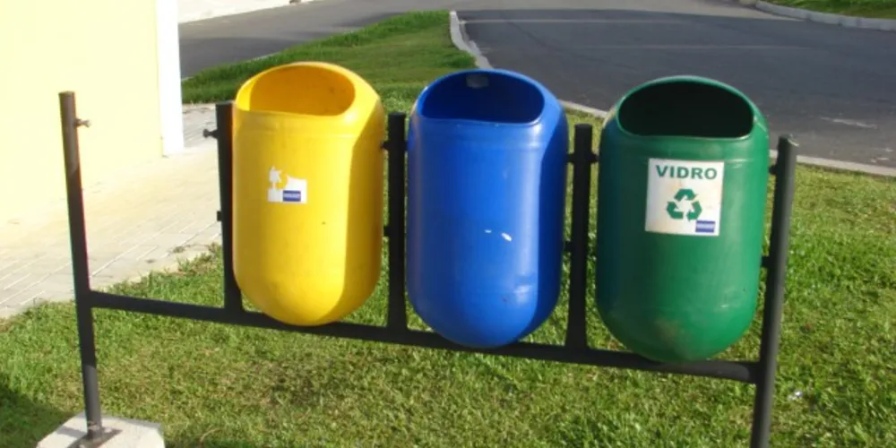 Imagem ilustrativa da imagem Sem lixeira desde 2009
