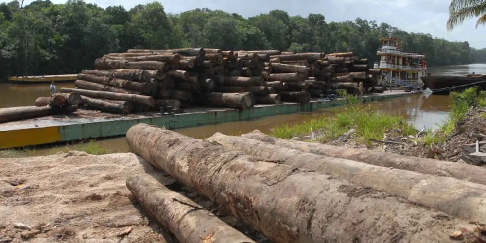 Imagem ilustrativa da imagem Desmatamento na Amazônia Legal cresce 16% em um ano